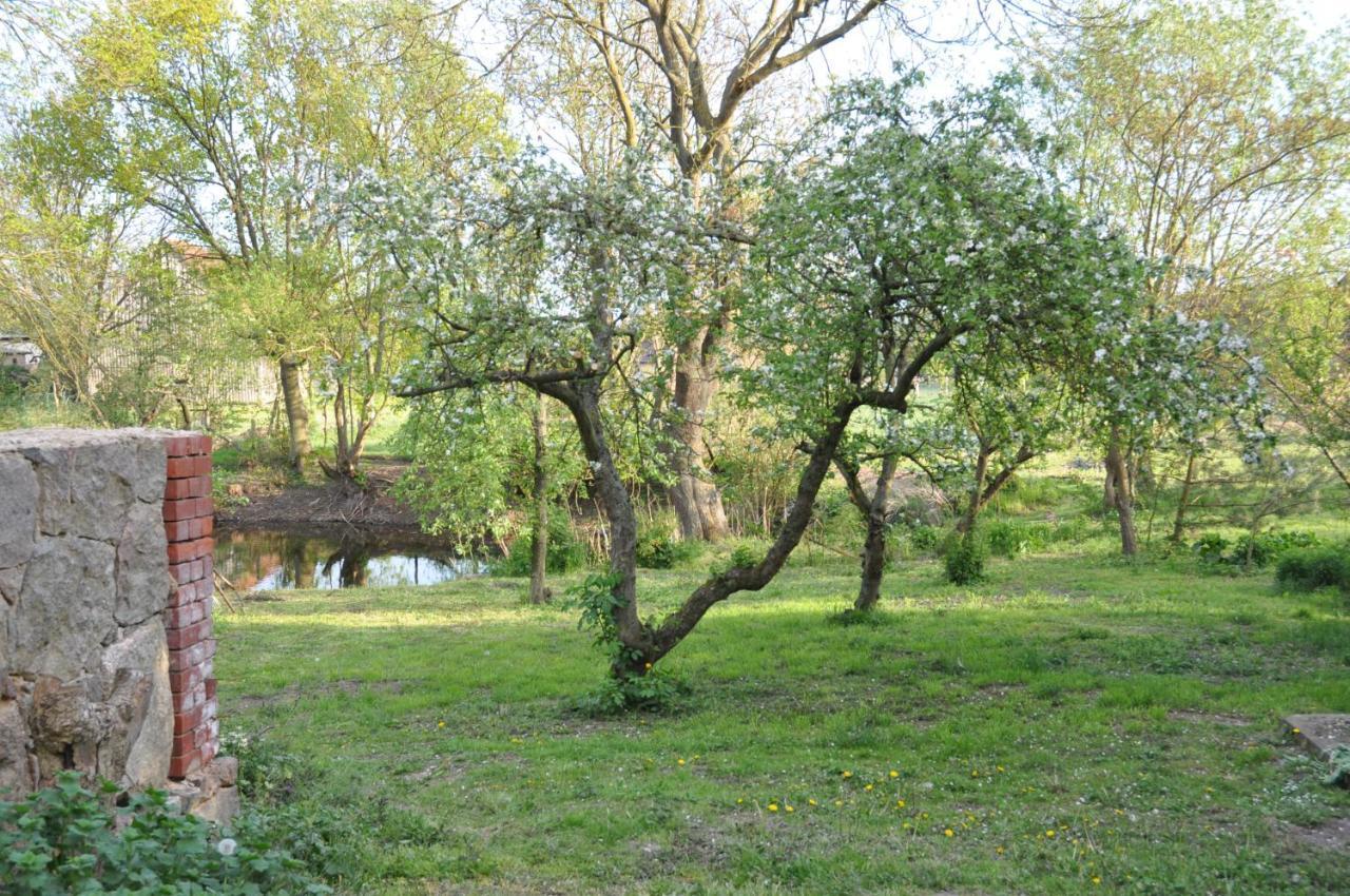 Bergholz Ferienhaus Caselow 23 מראה חיצוני תמונה