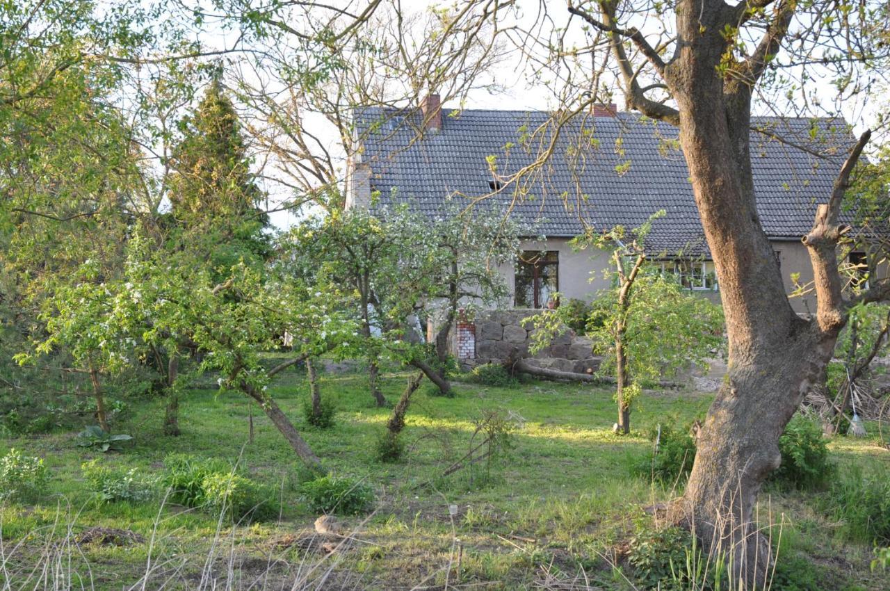 Bergholz Ferienhaus Caselow 23 מראה חיצוני תמונה